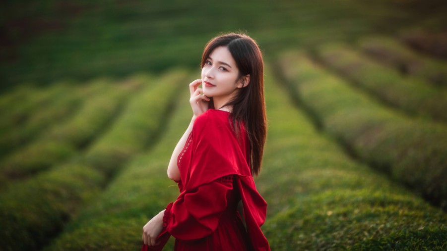 贵州人和足协杯奖金是多少